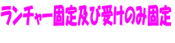 `[Œyю󂯂̂݌Œ